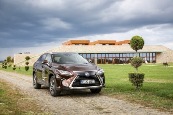 Test Lexus RX450h la Crama Avincis: Între cer și pământ