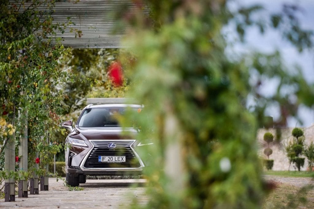 Test Lexus RX450h la Crama Avincis: Între cer și pământ