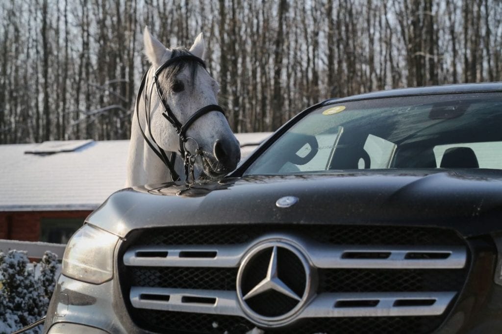 Cu Mercedes-Benz Clasa X la Eden Ranch: Întoarcerea la natură
