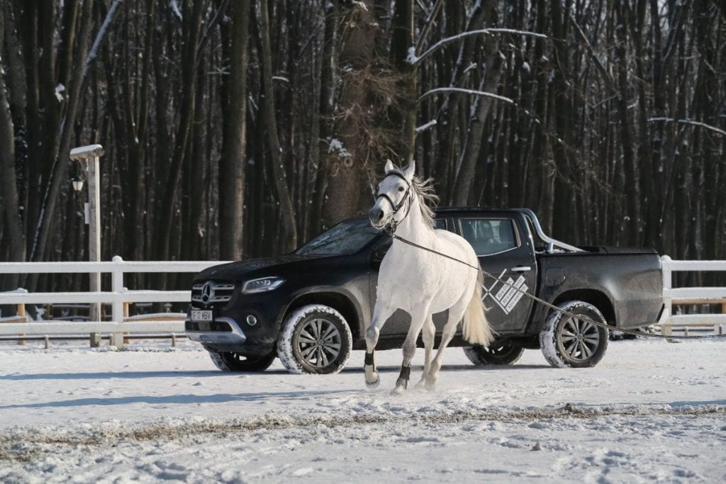Cu Mercedes-Benz Clasa X la Eden Ranch: Întoarcerea la natură