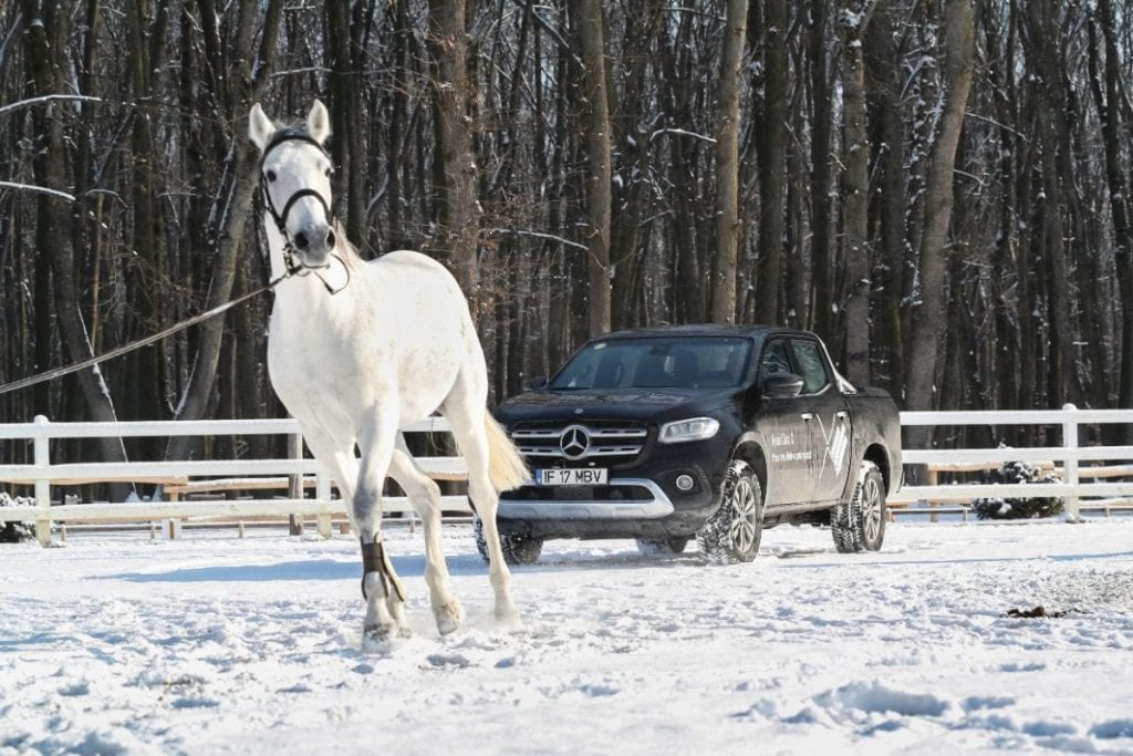 Cu Mercedes-Benz Clasa X la Eden Ranch: Întoarcerea la natură