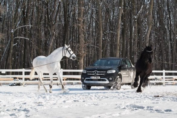 Cu Mercedes-Benz Clasa X la Eden Ranch: Întoarcerea la natură