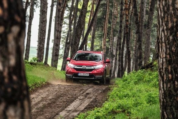 Test Honda CR-V Hybird: Electric, prin pădure
