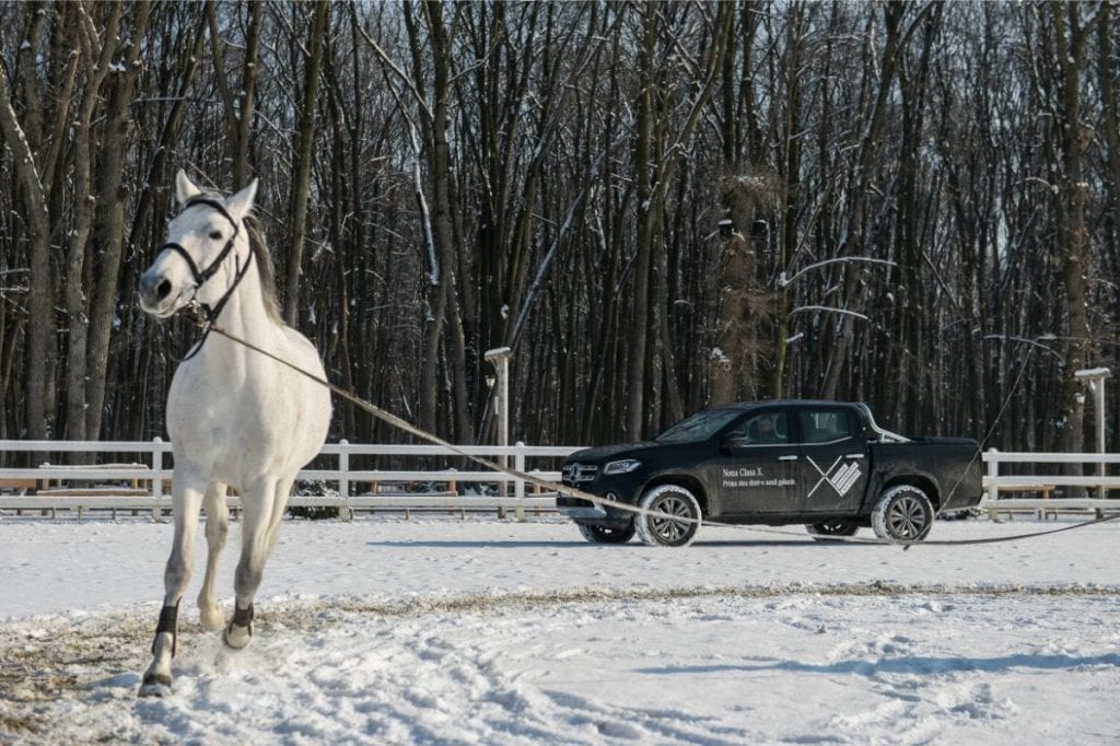 Cu Mercedes-Benz Clasa X la Eden Ranch: Întoarcerea la natură
