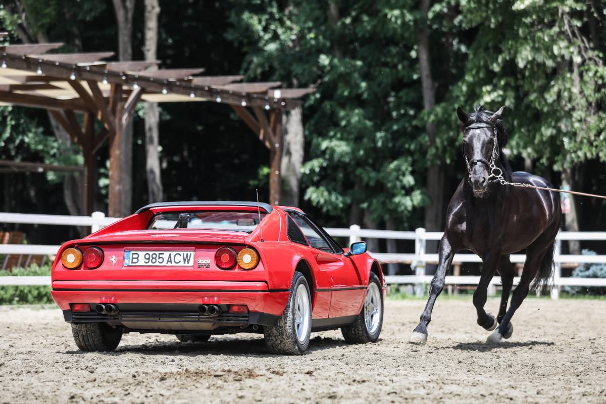 test ferrari 328 gt: Mai mult decât o mașină, o experiență