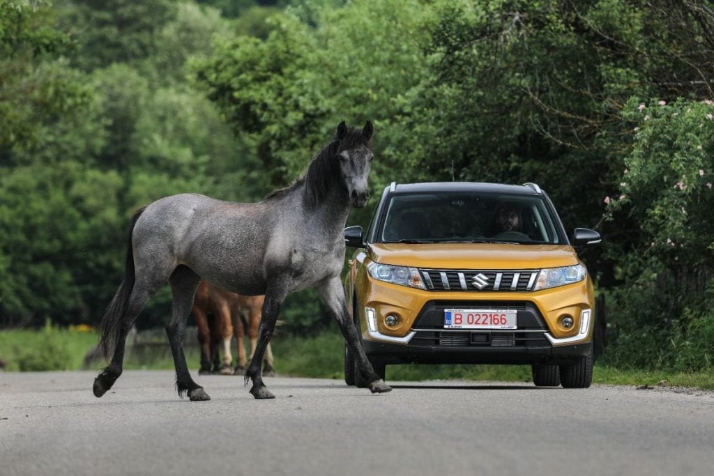 Test Suzuki Vitara Allgrip: În amonte