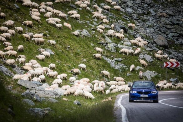 Cu Jochen Neerpasch pe Transfăgărășan: Ctitorul și ctitoria