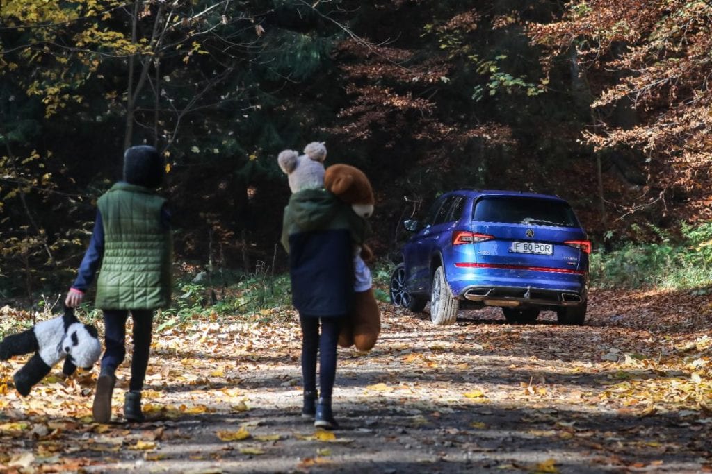 Test Skoda Kodiaq RS: În umbra marelui urs