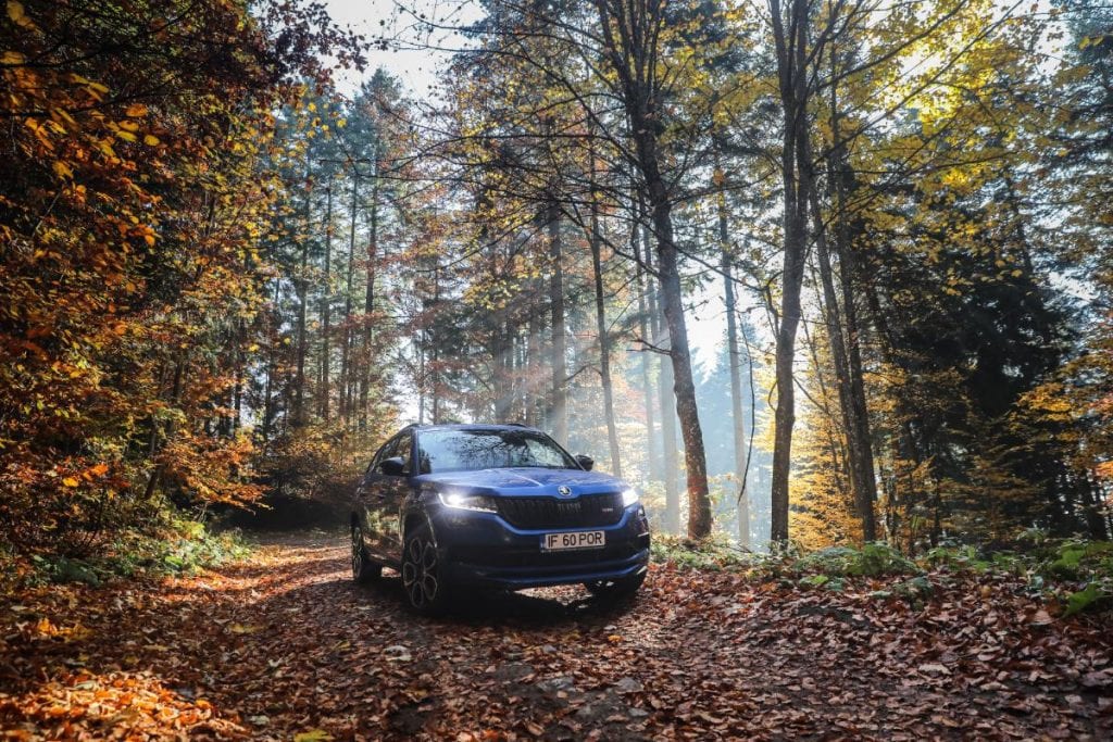 Test Skoda Kodiaq RS: În umbra marelui urs