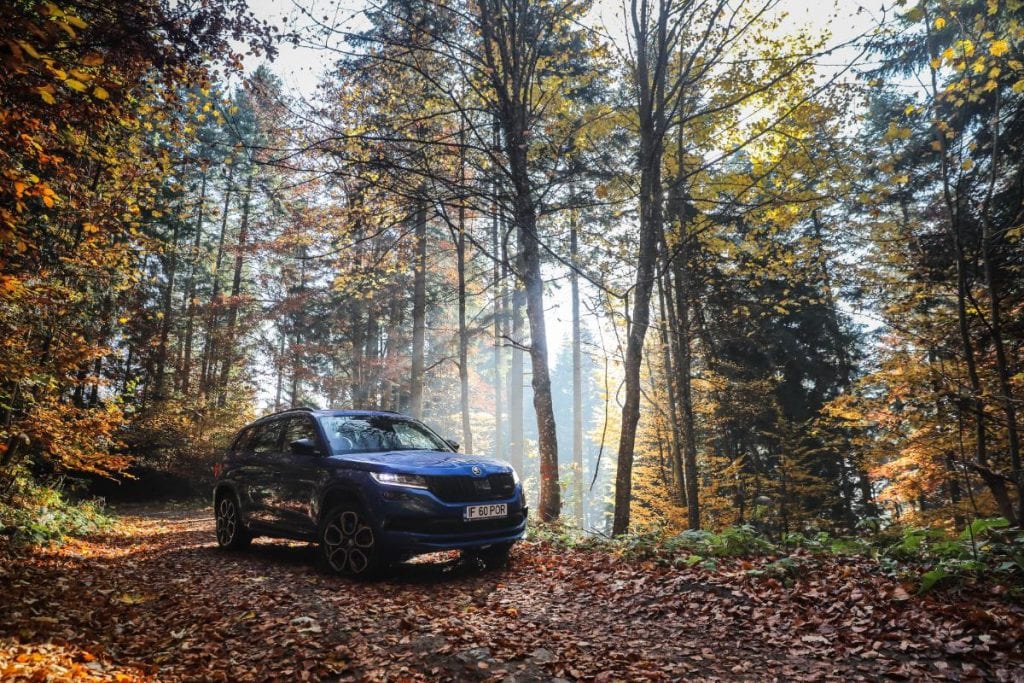 Test Skoda Kodiaq RS: În umbra marelui urs
