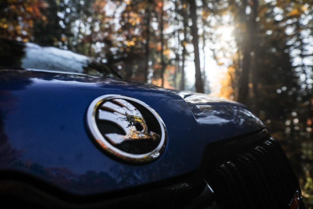 Test Skoda Kodiaq RS: În umbra marelui urs