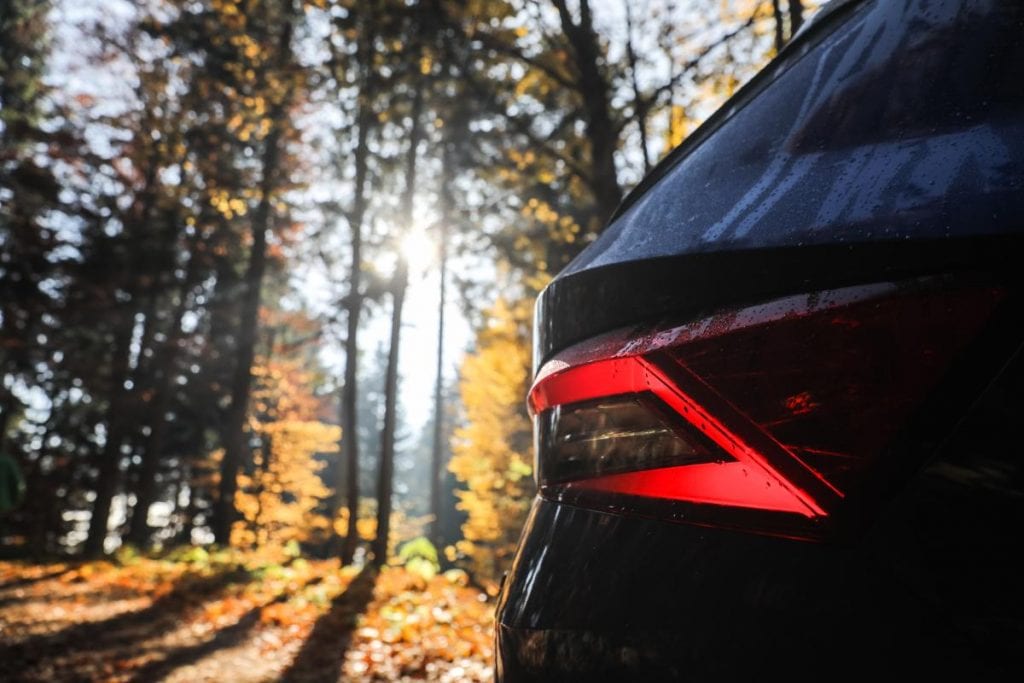 Test Skoda Kodiaq RS: În umbra marelui urs