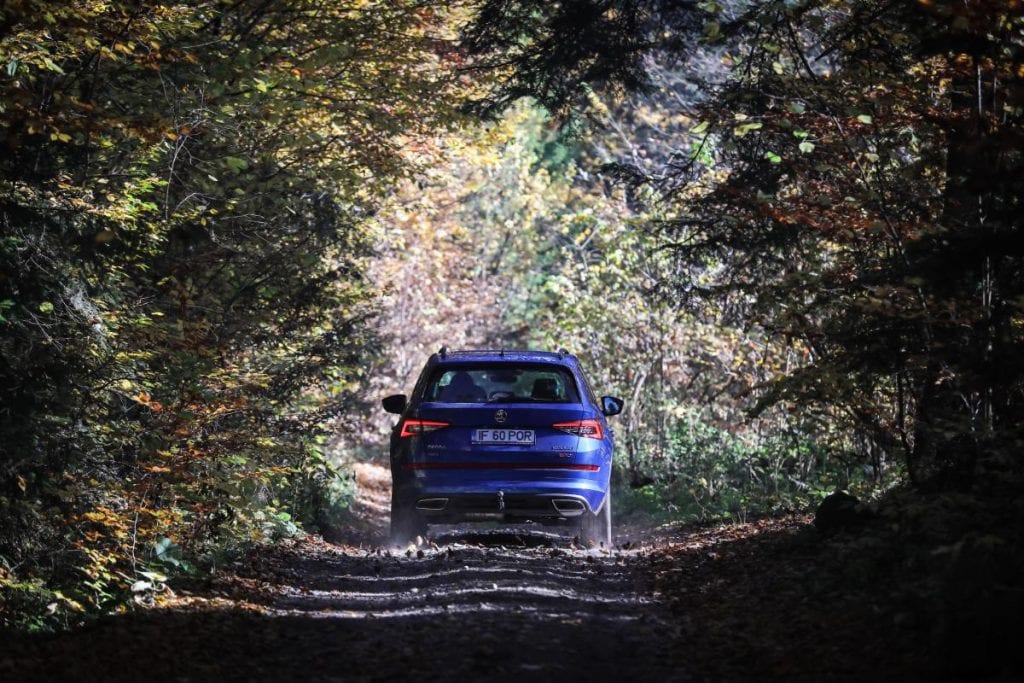 Test Skoda Kodiaq RS: În umbra marelui urs