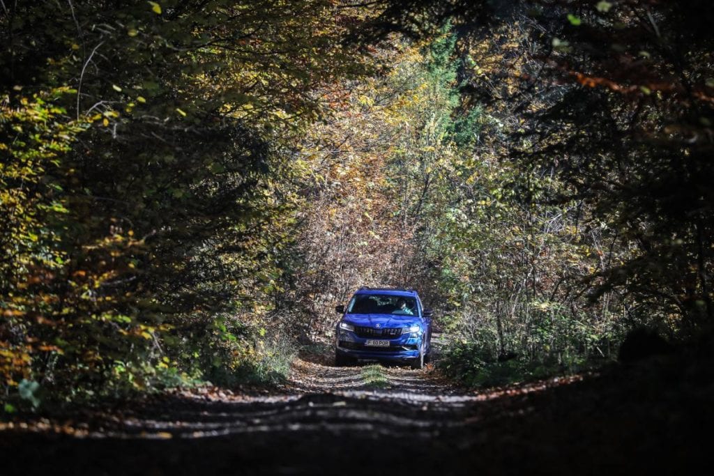 Test Skoda Kodiaq RS: În umbra marelui urs