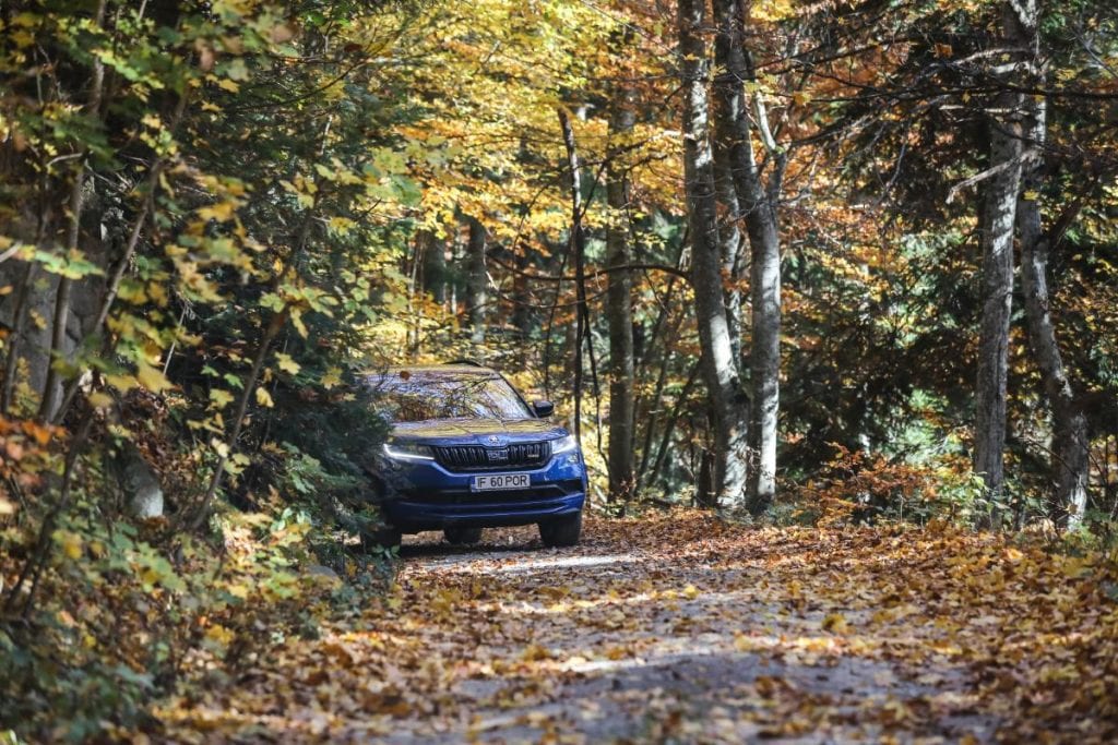 Test Skoda Kodiaq RS: În umbra marelui urs