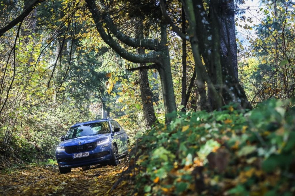 Test Skoda Kodiaq RS: În umbra marelui urs