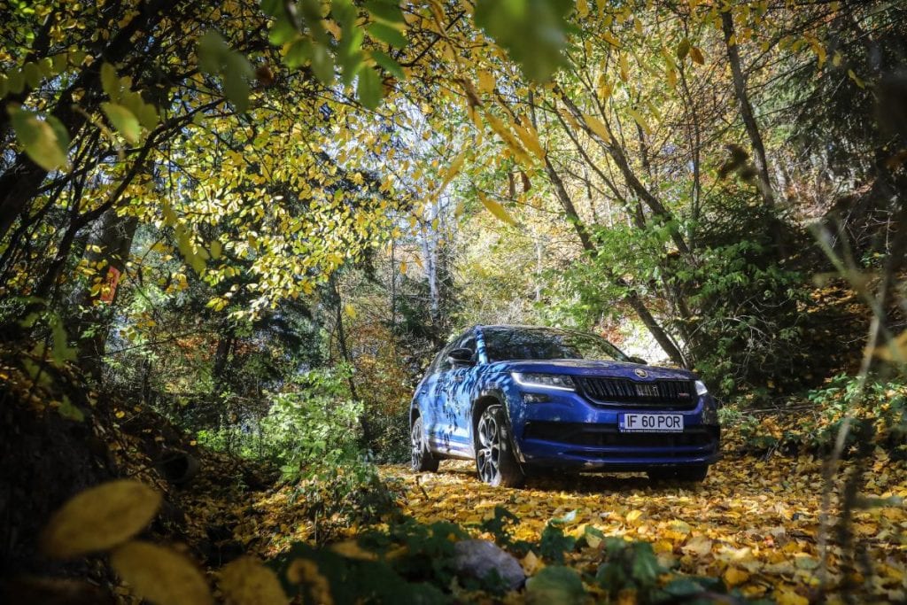Test Skoda Kodiaq RS: În umbra marelui urs
