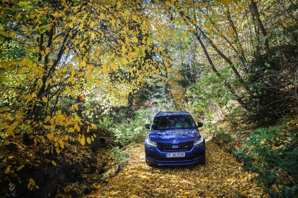 Test Skoda Kodiaq RS: În umbra marelui urs