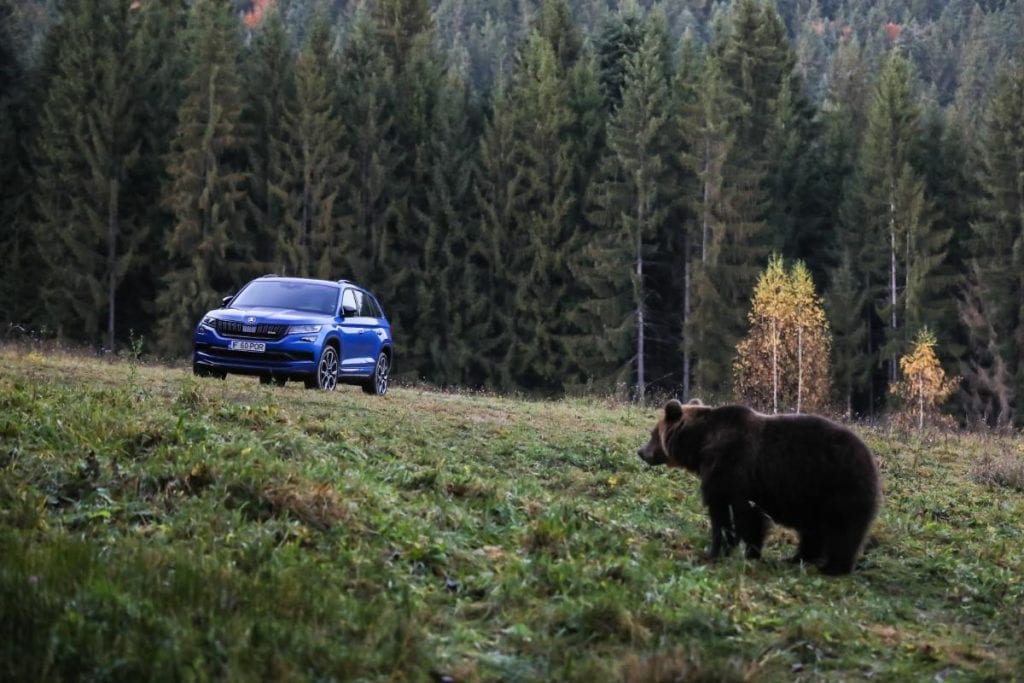 Test Skoda Kodiaq RS: În umbra marelui urs