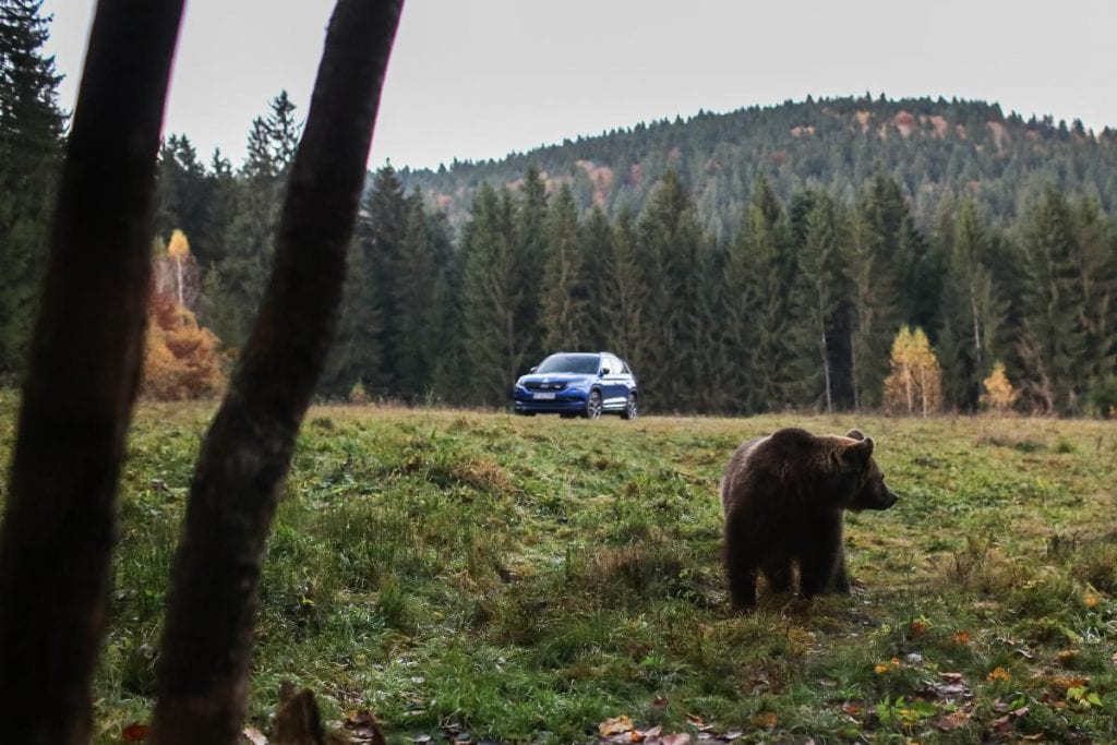 Test Skoda Kodiaq RS: În umbra marelui urs