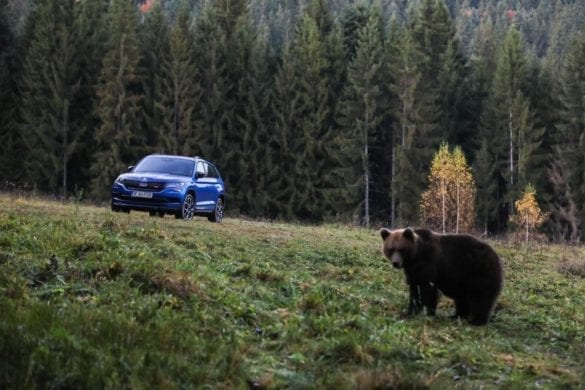 Test Skoda Kodiaq RS: În umbra marelui urs