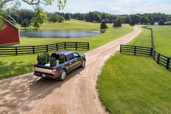 Noul Ford F-150 (2020) 7