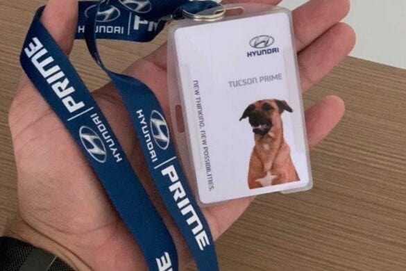 Tucson Prime angajat Hyundai Brazilia Tucson Prime angajat Hyundai Brazilia