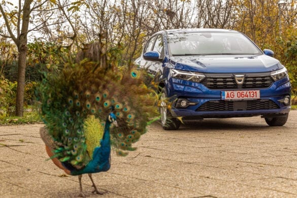 turboMAG_Dacia_Sandero_2020_001 (4)
