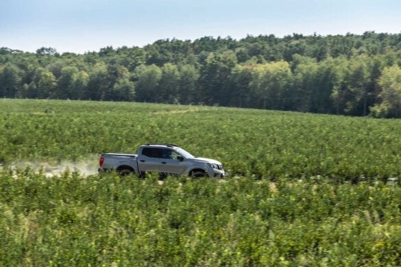 Nissan Navara la MerryBerry 14