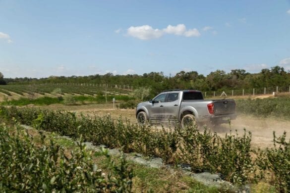 Nissan Navara la MerryBerry 15