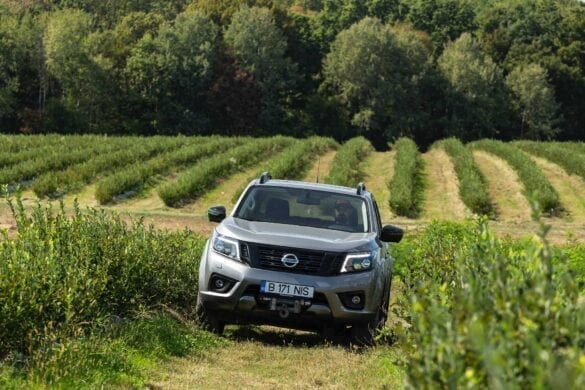 Nissan Navara la MerryBerry 16
